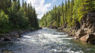 В Казахстане планируют реконструировать 14 тысяч километров оросительных систем