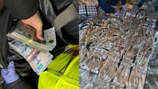 В Костанайской области у иностранца изъяли рога сайги на сумму 2 миллиарда тенге