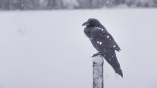 Во вторник ожидается дождь и снег на большей части Казахстана