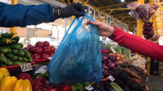 Ввоз 224 тонн сельхозпродукции из Казахстана в Алтай России запретили в ноябре