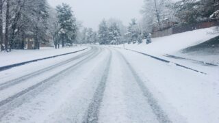 13 блок-постов размещены в Карагандинской области