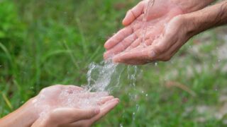 Фермеры с юга Казахстана попросили избавить их от посредников при покупке воды