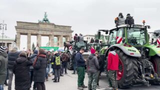 Фермеры вышли на протесты в Берлине