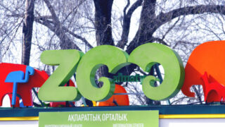 Какое поведение было у животных в зоопарке Алматы во время землетрясения?