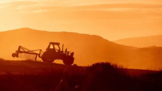 Охватить цифровой трансформацией не менее 50% сельхозугодий в Казахстане планирует Кабмин