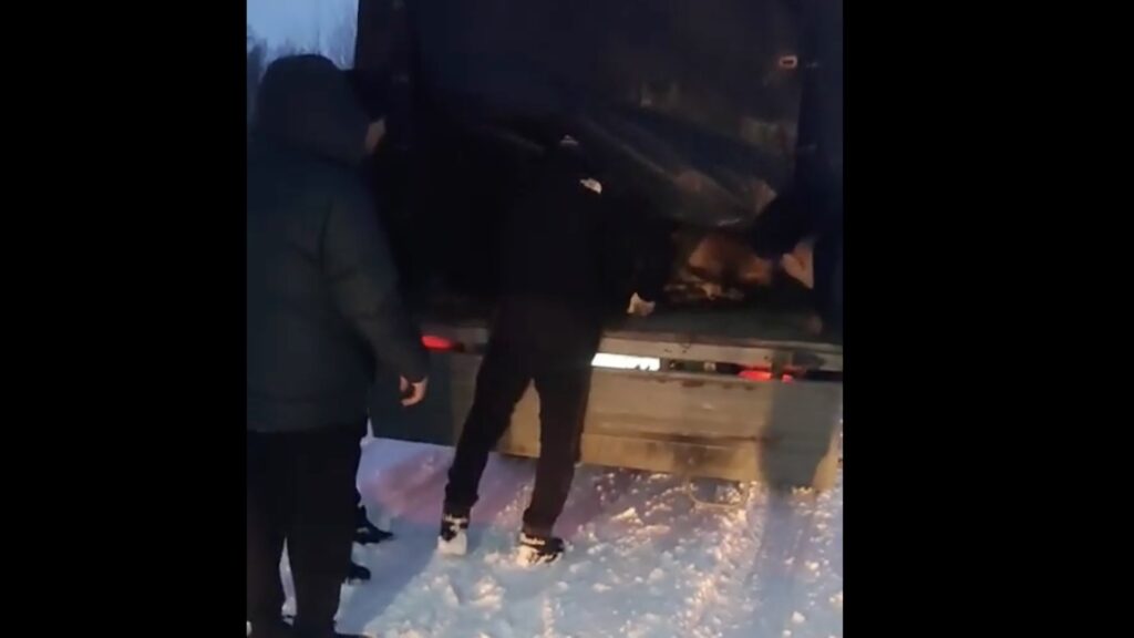 Фото: кадр из видео