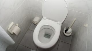 Крышка унитаза не эффективна против смываемых вирусов