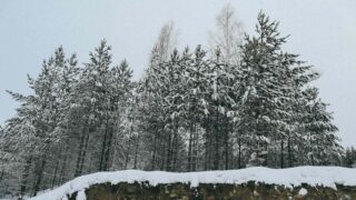 Погода в Астане и Алматы в ближайшие три дня