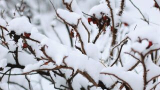 Переменчивая погода прогнозируется на субботу в Казахстане