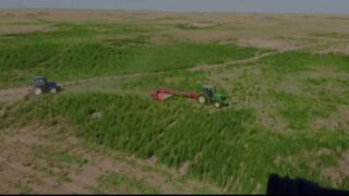 Почти 6 тонн наркотиков изъяли в Жамбылской области