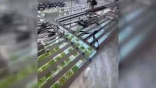 Полиция сообщила о ликвидации трех нарколабораторий в Алматинской области