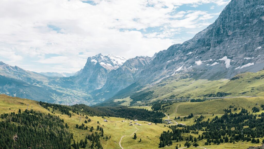 Фото: unsplash.com.