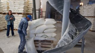 Производство муки в Казахстане достигло 2,8 млн тонн