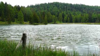 Распределение воды: с каким странами Казахстан ведет переговоры