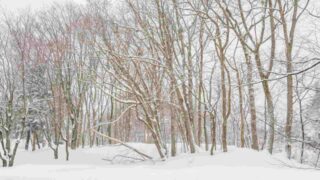 Сильные снегопады: Департамент по чрезвычайным ситуациям предупредил жителей Алматы