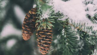 Синоптики рассказали о погоде в Алматы на следующую неделю