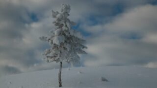Сколько казахстанских семей воспользовались программой переселения и сменили место жительства?