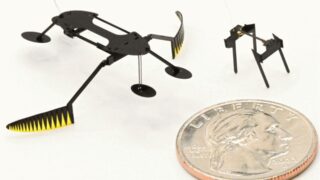 Создан самый быстрый микроробот в мире