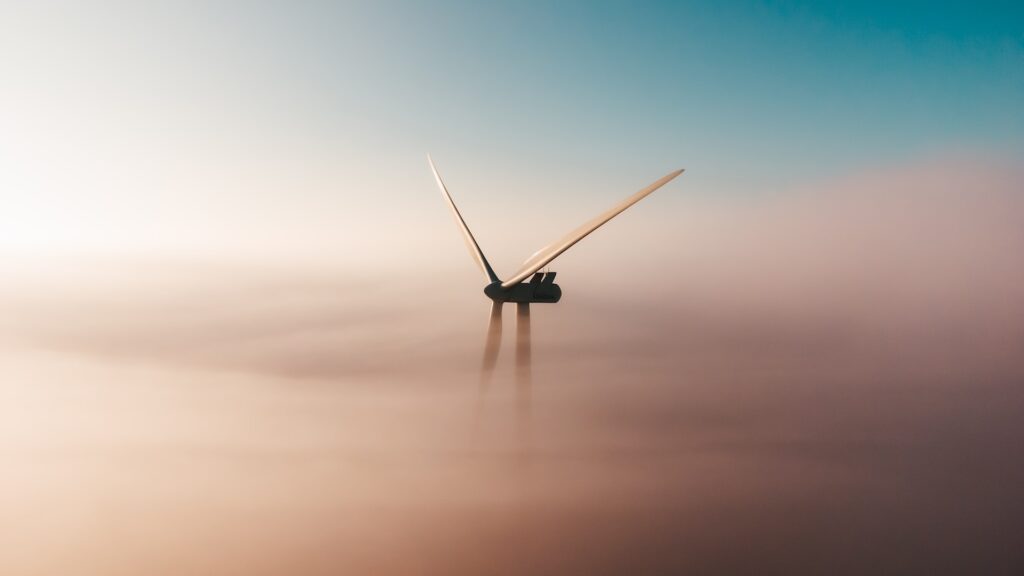 Фото: Unsplash