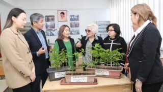 Учёные разработали метод очистки воздуха в Алматы