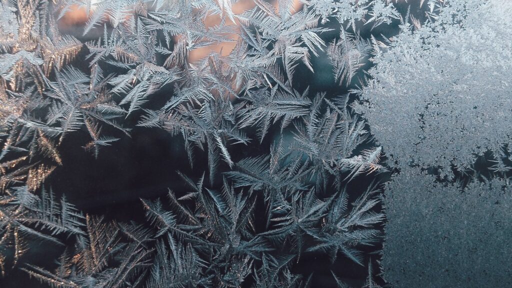 Фото: unsplash.com.