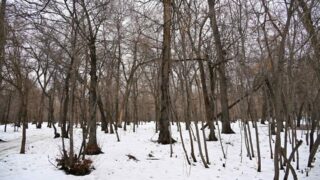 В Казахстане метели уступят место морозам