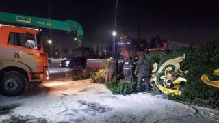 В Павлодаре упавшую елку за 52 миллиона тенге не будут ставить обратно