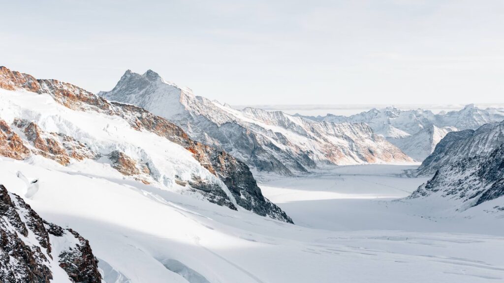 Фото: Unsplash