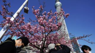 Япония снизится в рейтинге крупнейших мировых экономик