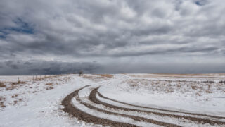 Земли в Западно-Казахстанской области были проданы по заниженной цене