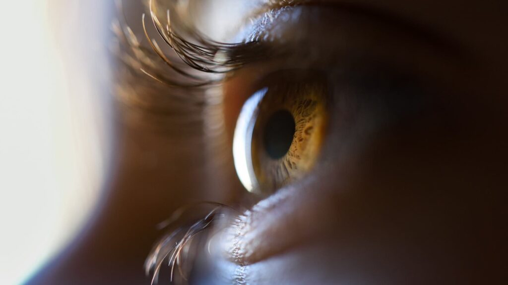 Фото: javi_indy / Freepik