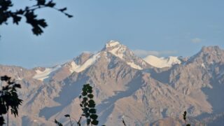 Жителей ВКО предупредили об опасности схода лавин