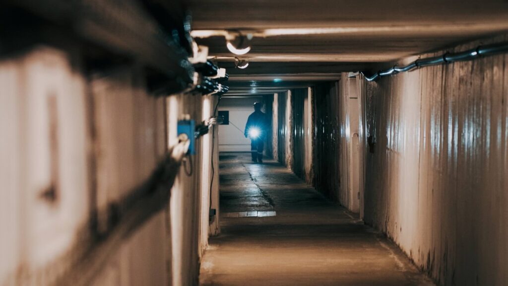 Фото: Unsplash