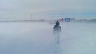 25 человек спасены с заснеженных трасс в области Абай