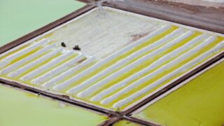 Акции австралийских производителей лития растут на фоне сообщений о закрытии китайского рудника