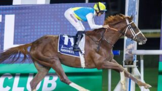 Аким ЗКО провел встречу с владельцем Кабирхана — жеребца, стоимость которого достигла миллионов