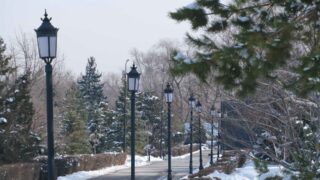 Более 2000 лючков на фонарных столбах заменили с осени 2023 года