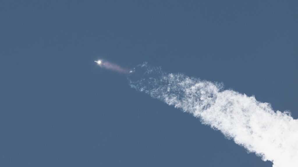Фото: REUTERS/Joe Skipper