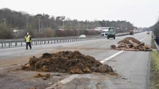 Фермеры в Германии решили заблокировать дорогу, сбросив груду навоза