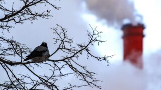 К 2040 году Евросоюз планирует снизить парниковые выбросы на 90%