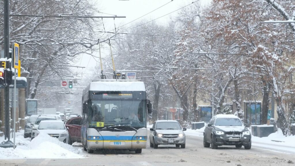 Фото: Акимат Алматы