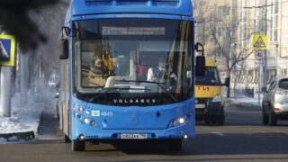 Какой штраф наложат на родителей безбилетных школьников