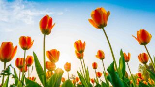 Календарь выходных на март 2024 года в Казахстане