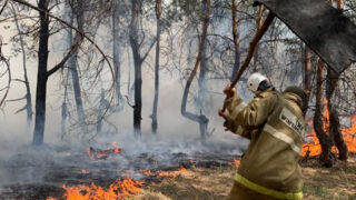 В Казахстане прогнозируют высокую пожароопасность
