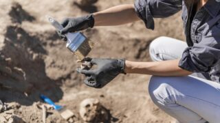 Новое месторождение открыли палеонтологи