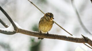 Прогноз погоды в Казахстане на 2 февраля