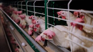 Права крупного инвестора защитила прокуратура Жамбылской области