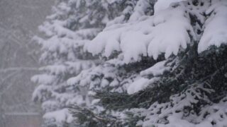 Прогноз погоды на 23-25 января в Алматы