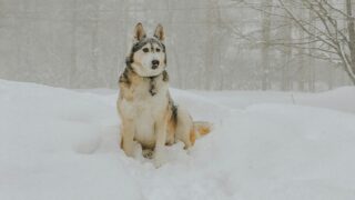 Штормовое предупреждение коснулось Астаны и 13 областей Казахстана