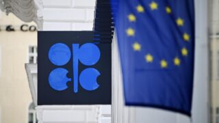 Уровень добычи нефти в странах ОПЕК за январь снизилась